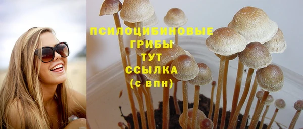 винт Абаза