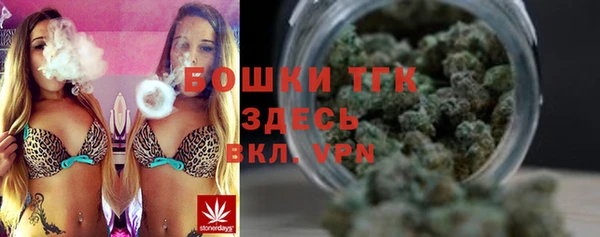 винт Абаза