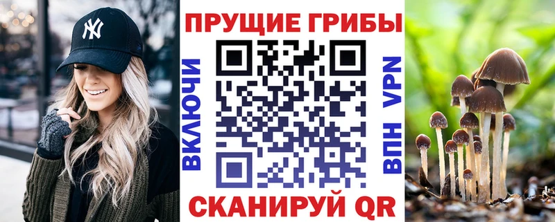 купить наркотик  Канск  Псилоцибиновые грибы мицелий 